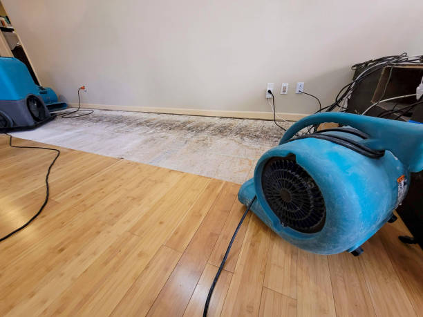 Professional Emergency Water Damage technician working in Ashland, MA